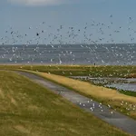 Apartman Kuestenperle Nordsee Mit Balkon Und Gemeinschaftssauna Wurster Nordseeküste