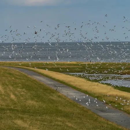Lejlighed Kuestenperle Nordsee Mit Balkon Und Sauna Wurster Nordseekuste