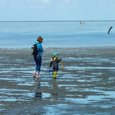 Kuestenperle Nordsee Mit Balkon Und Gemeinschaftssauna Wurster Nordseekuste