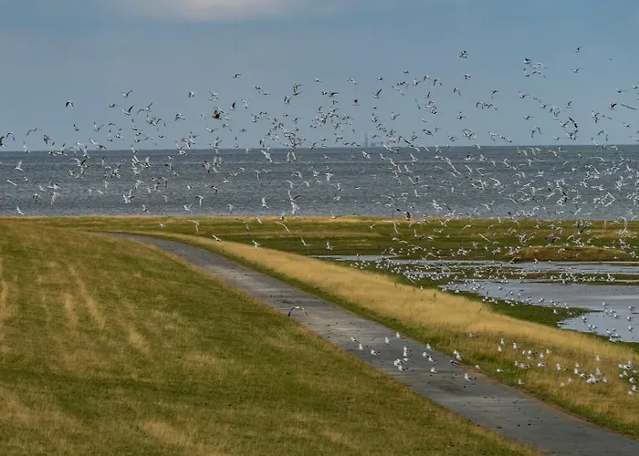 Διαμέρισμα Kuestenperle Nordsee Mit Balkon Und Gemeinschaftssauna Wurster Nordseekuste